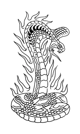 Angry Cobra Burning Tattoo Meaning, PNG and SVG