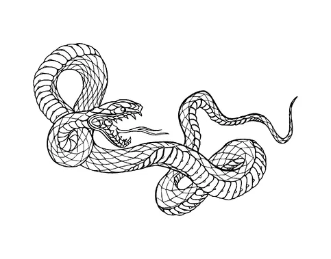 Angry Snake Tattoo Meaning, PNG and SVG