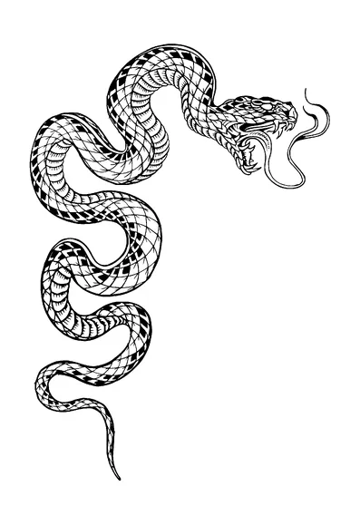 Angry Snake Tattoo Meaning, PNG and SVG