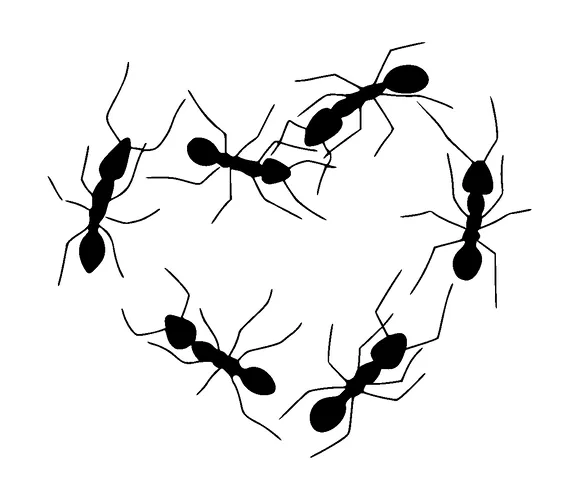 Ants In Heart Shape Tattoo Meaning, PNG and SVG