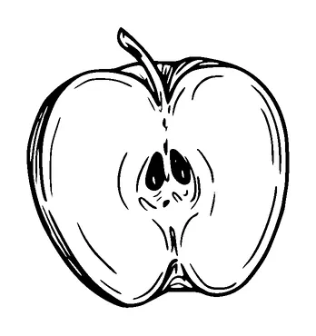 Apple Cut In Half Tattoo Meaning, PNG and SVG