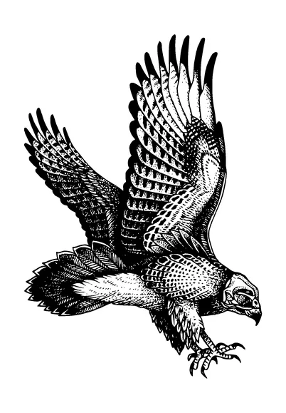 Attacking Skull Head Eagle Tattoo Meaning, PNG and SVG