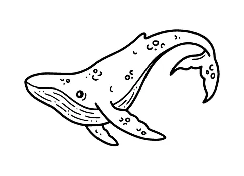 Baby Whale Tattoo Meaning, PNG and SVG