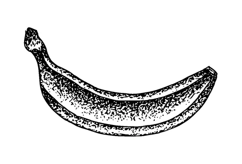 Banana Dotted Tattoo Meaning, PNG and SVG