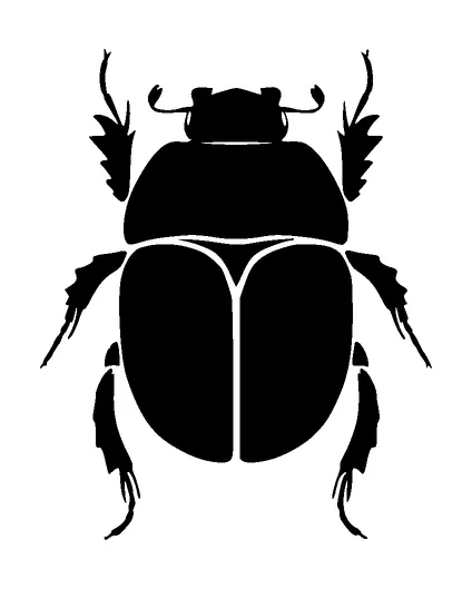 Beetle Tattoo Meaning, PNG and SVG