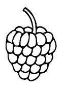 Blackberry Small Tattoo Meaning, PNG and SVG