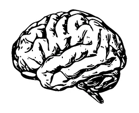 Brain Drawing Tattoo Meaning, PNG and SVG