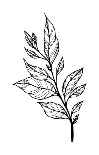 Branch Leaves Tattoo Meaning, PNG and SVG