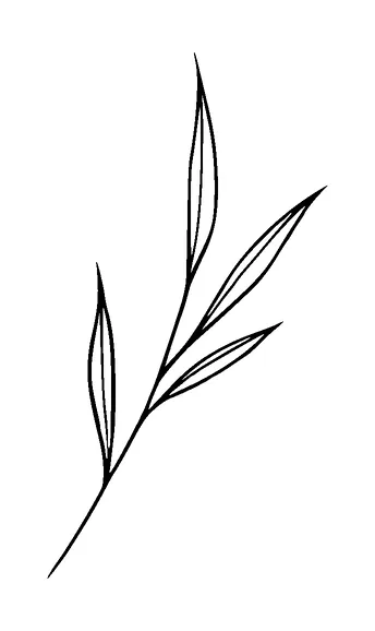 Branch Of Leaves Tattoo Meaning, PNG and SVG