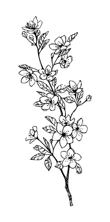 Branch With Flowers Tattoo Meaning, PNG and SVG