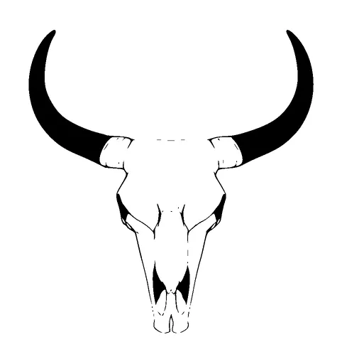 Bull Skull Tattoo Meaning, PNG and SVG