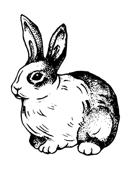 Bunny Dot Tattoo Meaning, PNG and SVG