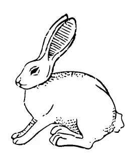 Bunny Tattoo Meaning, PNG and SVG