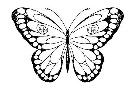 Butterfly Tattoo Meaning, PNG and SVG