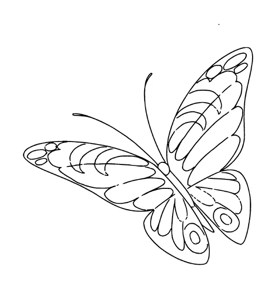 Butterfly Tattoo Meaning, PNG and SVG