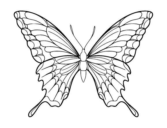 Butterfly Tattoo Meaning, PNG and SVG