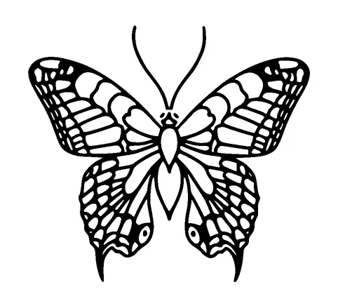 Butterfly Tattoo Meaning, PNG and SVG