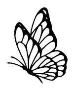 Butterfly Tattoo Meaning, PNG and SVG