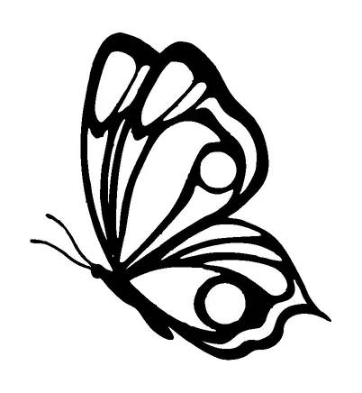 Butterfly Tattoo Meaning, PNG and SVG