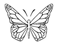 Butterfly Tattoo Meaning, PNG and SVG