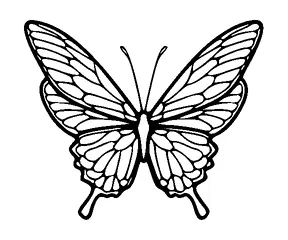 Butterfly Tattoo Meaning, PNG and SVG