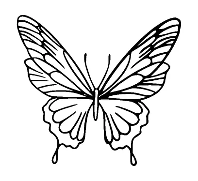 Butterfly Tattoo Meaning, PNG and SVG