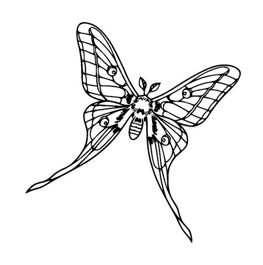 Butterfly Tattoo Meaning, PNG and SVG