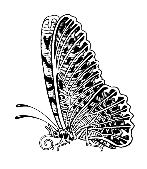 Butterfly Side View Tattoo Meaning, PNG and SVG