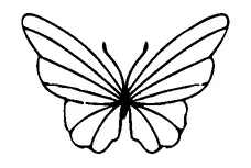 Butterfly Simple Tattoo Meaning, PNG and SVG