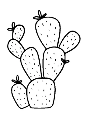 Cactus Tattoo Meaning, PNG and SVG