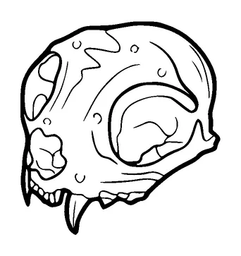 Cat Skull Tattoo Meaning, PNG and SVG