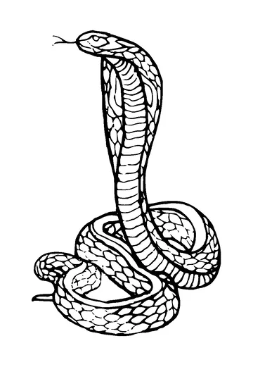 Cobra Tattoo Meaning, PNG and SVG