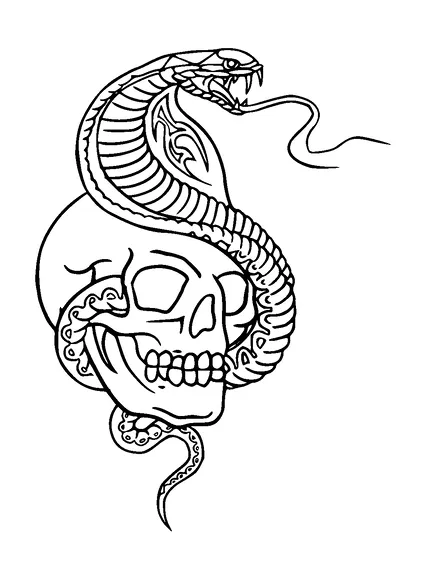 Cobra On Skull Tattoo Meaning, PNG and SVG