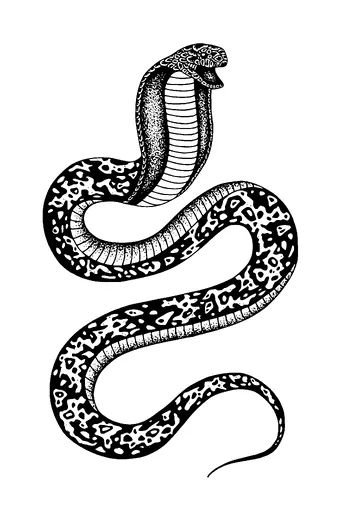 Cobra Snake Tattoo Meaning, PNG and SVG