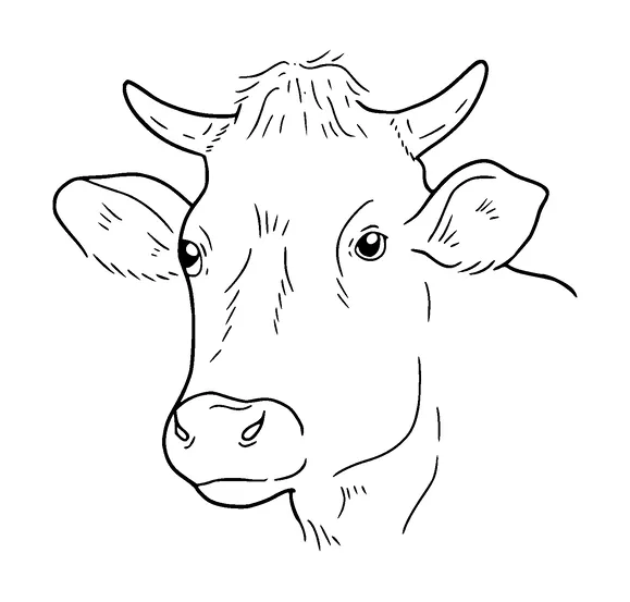 Cows Head Tattoo Meaning, PNG and SVG