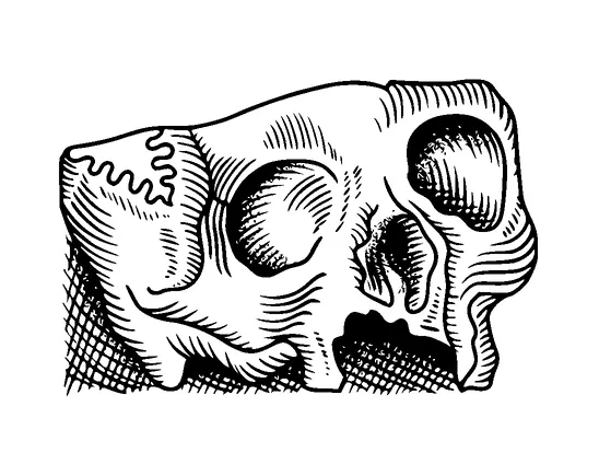 Cut Skull Tattoo Meaning, PNG and SVG