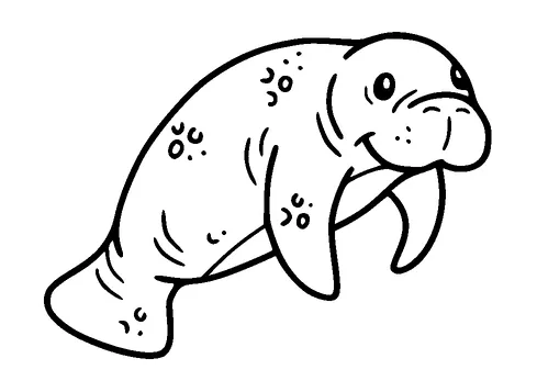 Cute Baby Seal Tattoo Meaning, PNG and SVG