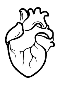 Cute Real Heart Tattoo Meaning, PNG and SVG