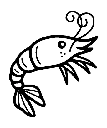 Cute Shrimp Tattoo Meaning, PNG and SVG