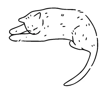 Cute Sleeping Cat Tattoo Meaning, PNG and SVG