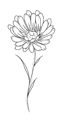 Daisy Flower Tattoo Meaning, PNG and SVG