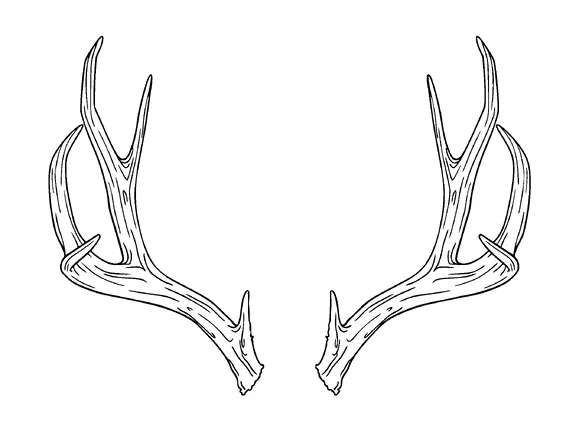 Deer Antler Tattoo Meaning, PNG and SVG