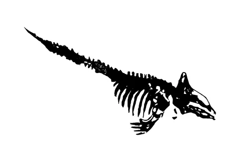 Dinosaur Fossil Tattoo Meaning, PNG and SVG