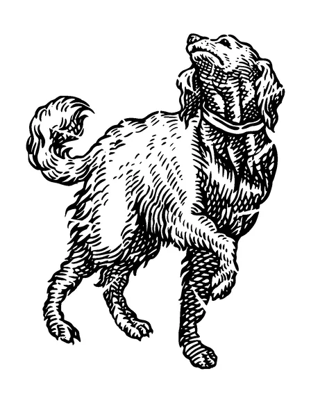 Dog Looking Up Tattoo Meaning, PNG and SVG