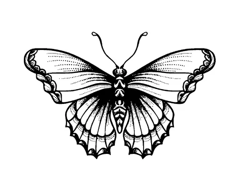 Dotted Butterfly Tattoo Meaning, PNG and SVG