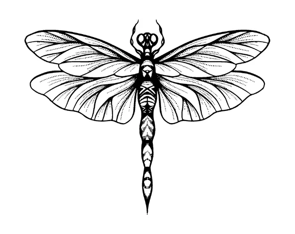 Dragonfly Tattoo Meaning, PNG and SVG