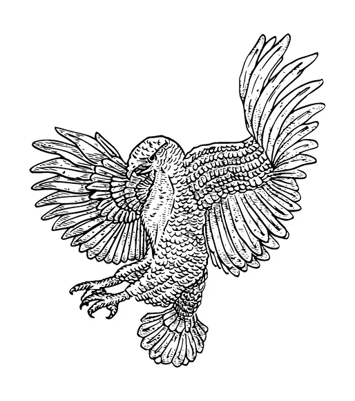 Eagle Drawing Tattoo Meaning, PNG and SVG