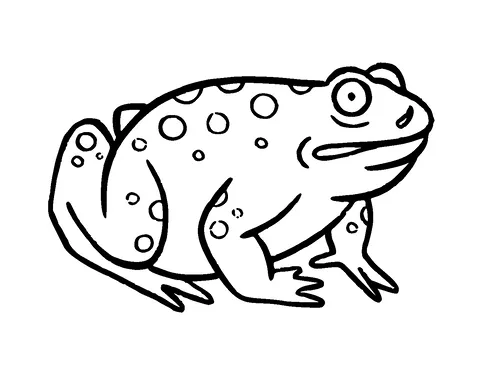 Fat Frog Tattoo Meaning, PNG and SVG