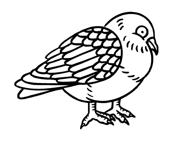 Fat Pigeon Bird Tattoo Meaning, PNG and SVG