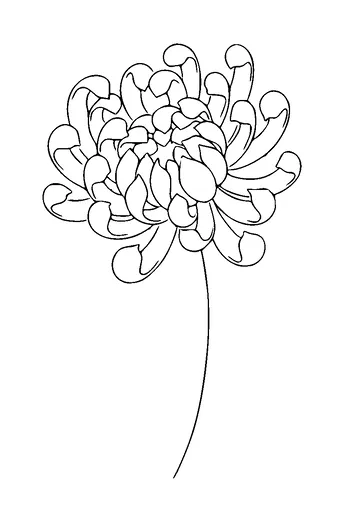 Flower Tattoo Meaning, PNG and SVG